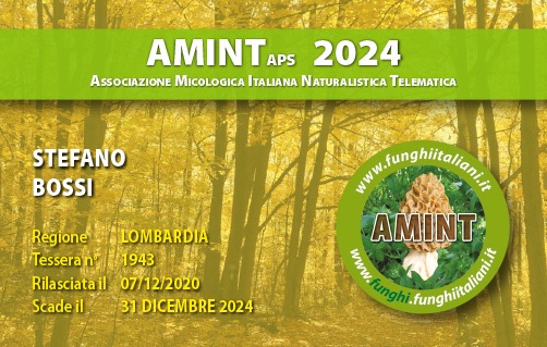 Tessera-AMINT-1943-2024.jpg