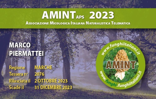 Tessera-AMINT-2076-2023.jpg