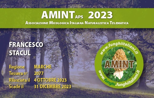 Tessera-AMINT-2077-2023.jpg