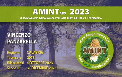 Tessera-AMINT-2078-2023.jpg