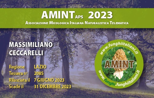Tessera-AMINT-2085-2023.jpg