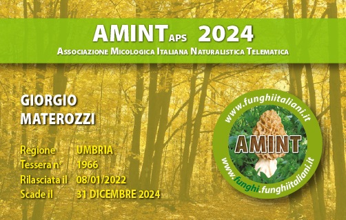 Tessera-AMINT-1966-2024.jpg