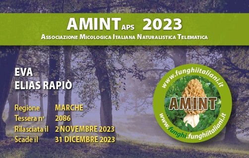Tessera-AMINT-2086-2023.jpg