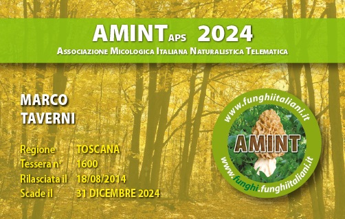 Tessera-AMINT-1600-2024.jpg