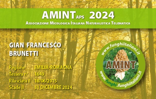 Tessera-AMINT-1649-2024.jpg