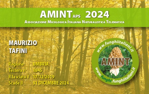 Tessera-AMINT-1845-2024.jpg