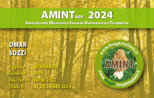 Tessera-AMINT-1978-2024.jpg