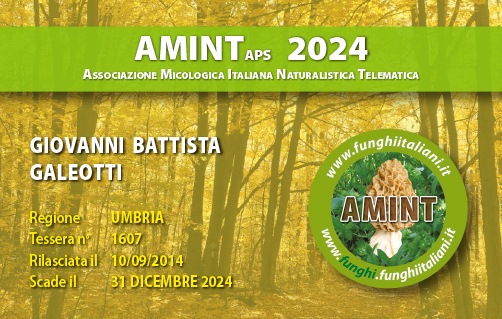 Tessera-AMINT-1607-2024.jpg