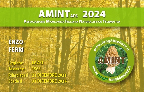 Tessera-AMINT-1963-2024.jpg