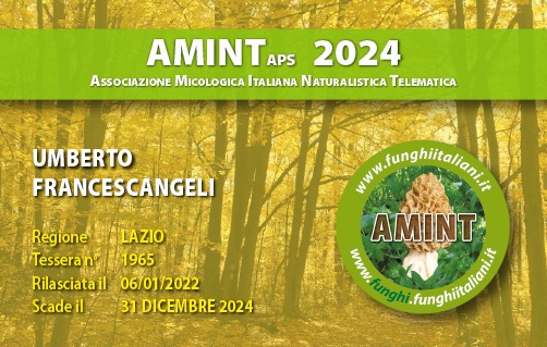 Tessera-AMINT-1965-2024.jpg