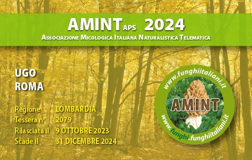 Tessera-AMINT-2079-2023.jpg