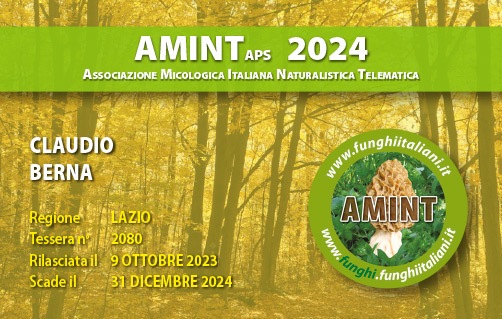 Tessera-AMINT-2080-2023.jpg