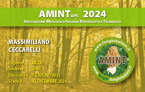 Tessera-AMINT-2085-2024.jpg