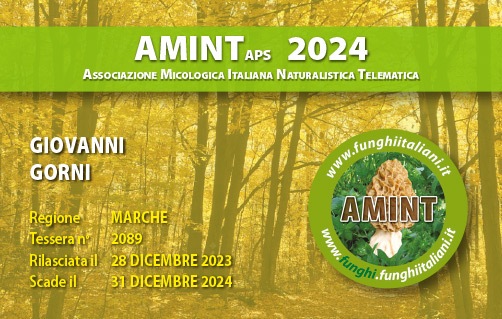 Tessera-AMINT-2089-2023.jpg