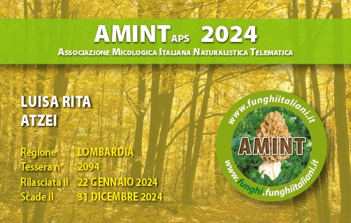 Tessera-AMINT-2094-2024.jpg