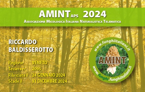 Tessera-AMINT-2095-2024.jpg