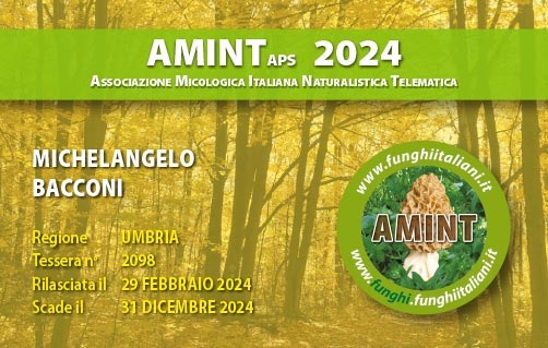 Tessera-AMINT-2098-2024.jpg