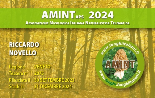 Tessera-AMINT-2075-2024.jpg