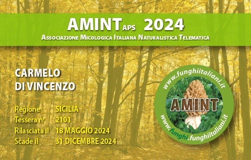 Tessera-AMINT-2101-2024.jpg