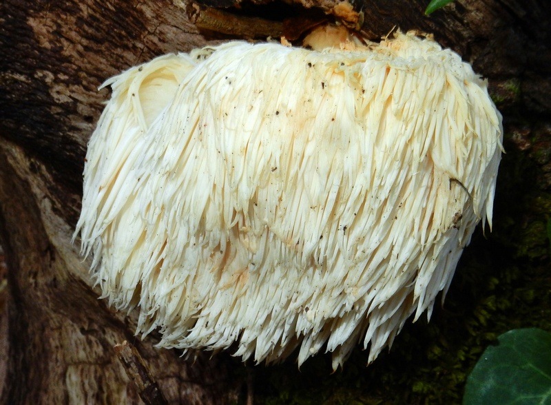 3.jpg.a6c0e0dbb4d71ae8a894563315efe15a.jpg