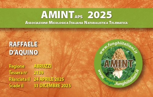 Tessera-AMINT-2139-2025.jpg