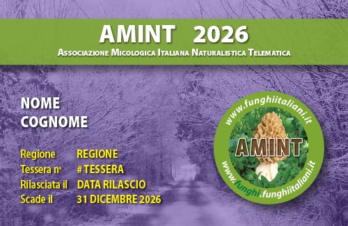 Tessera Socio in FORMAZIONE - AMINT APS